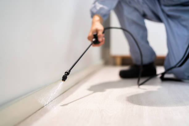 Licensed Pest Control service in Atwood, IL - Show Me Pest Control
