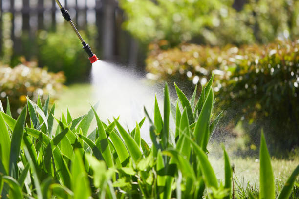 24/7 Emergency Wasp Removal experts in Atwood, IL