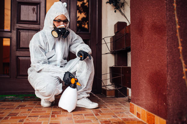 Reliable Wasp Removal contractor in Atwood, IL by Show Me Pest Control
